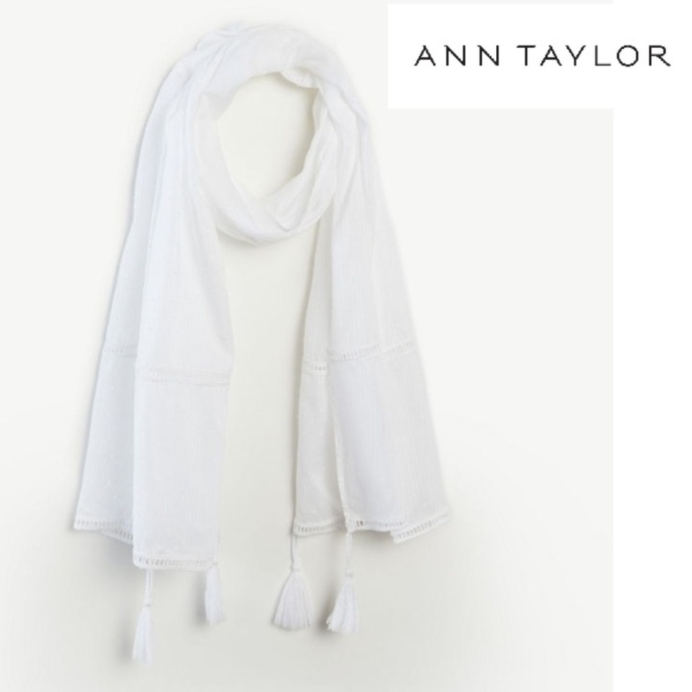 Ann Taylor embroidered scarf